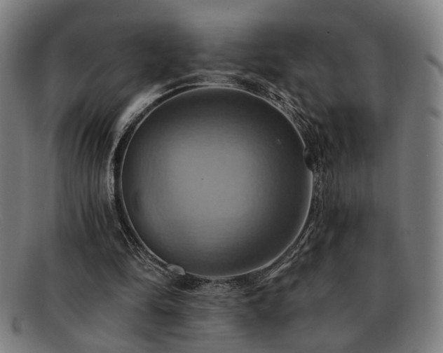 X0000092110294200709121623