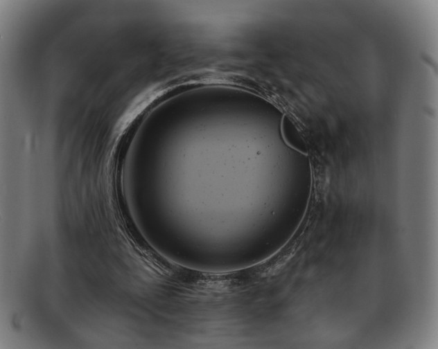 X0000092110295200709121623