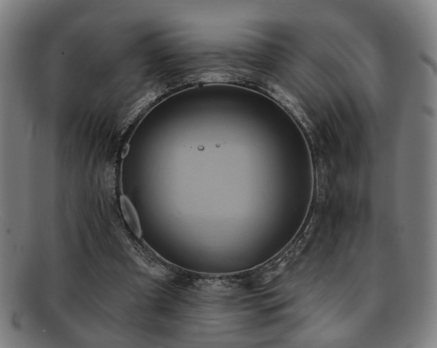 X0000092110297200709121623