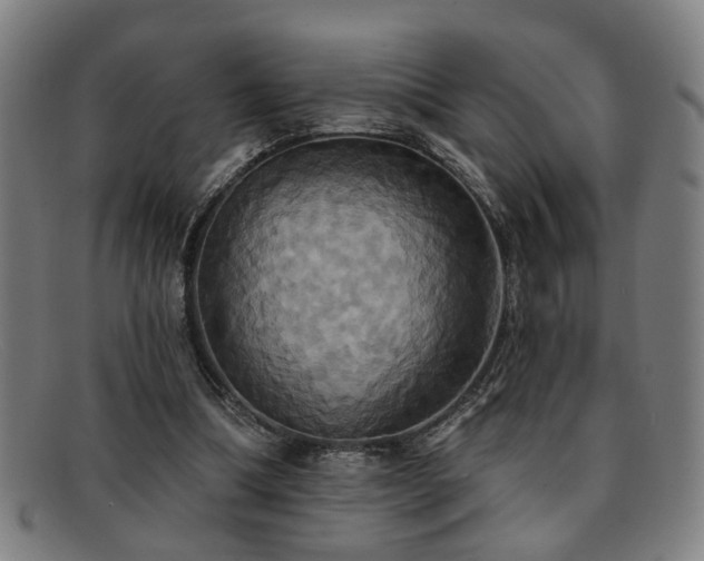 X0000092110298200709121623