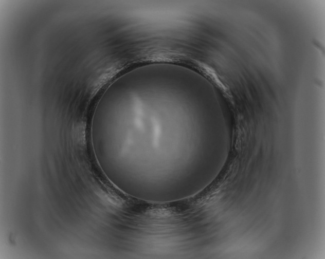 X0000092110299200709121623