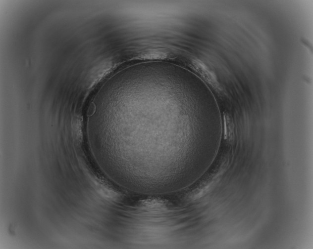 X0000092110300200709121623