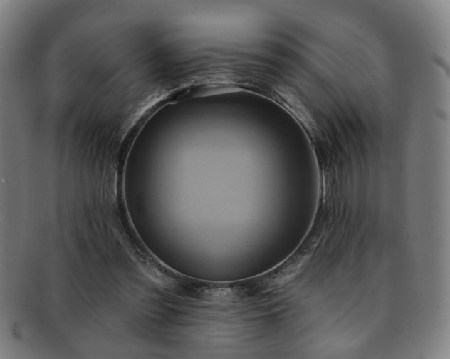 X0000092110301200709121623