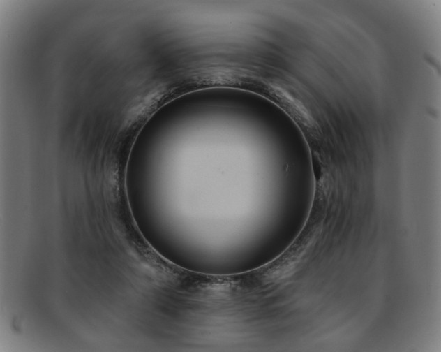 X0000092110306200709121623