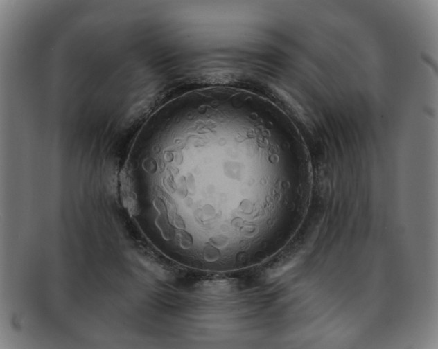 X0000092110307200709121623