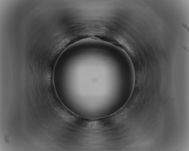 X0000092110309200709121623