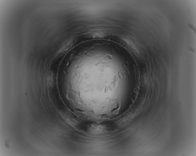 X0000092110311200709121623