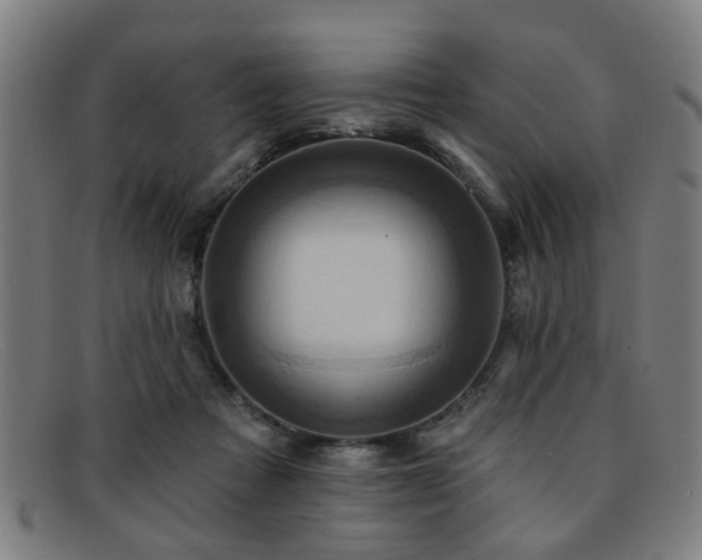 X0000092110313200709121623