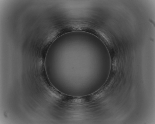 X0000092110314200709121623