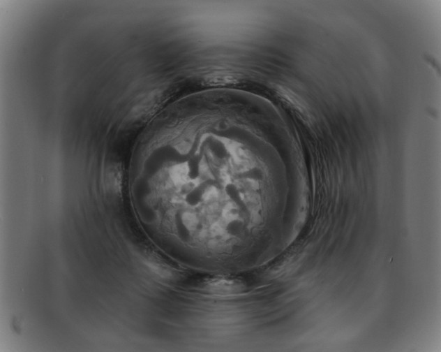 X0000092110315200709121623