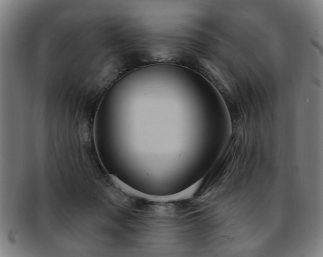 X0000092110317200709121623