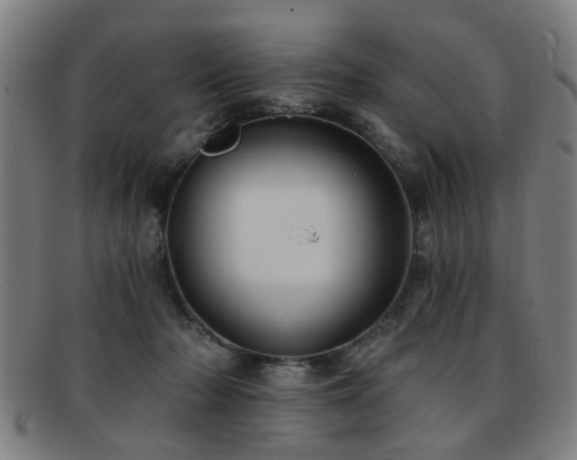 X0000092110318200709121623