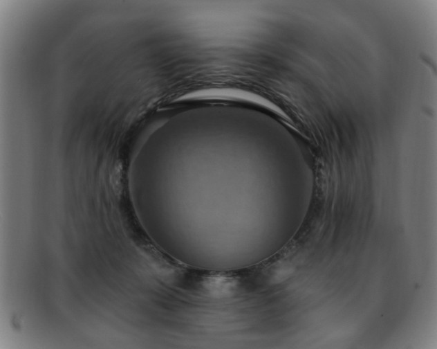 X0000092110319200709121623