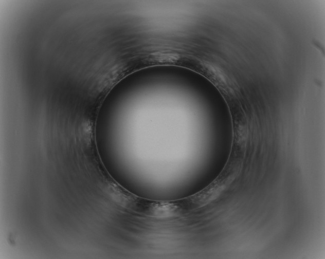 X0000092110321200709121623