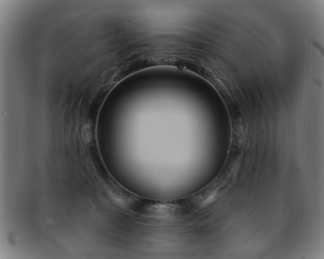 X0000092110323200709121623