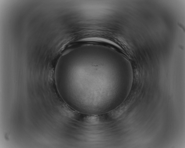 X0000092110325200709121623