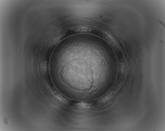 X0000092110326200709121623