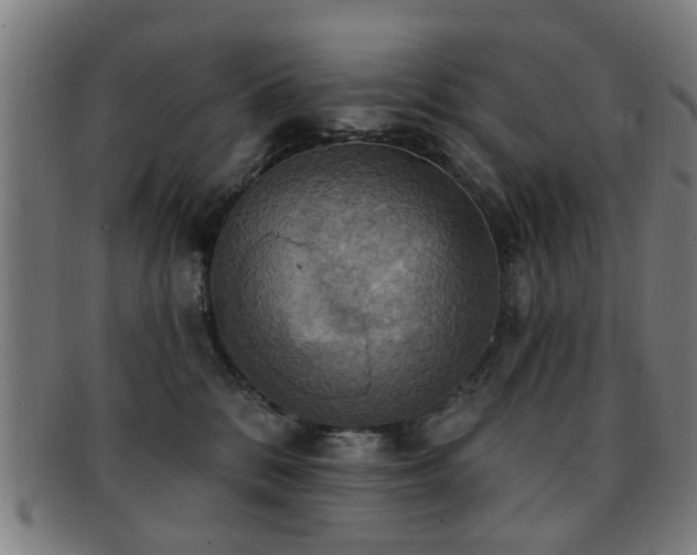 X0000092110328200709121623