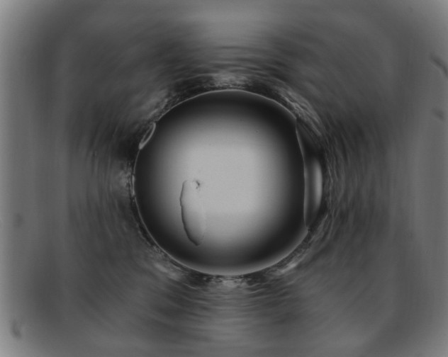 X0000092110329200709121623