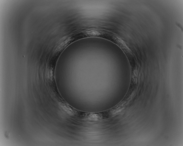 X0000092110330200709121623