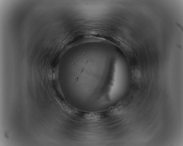 X0000092110331200709121623