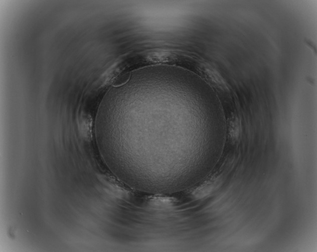 X0000092110332200709121623