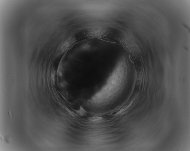 X0000092110334200709121623