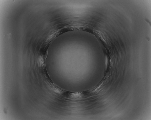 X0000092110335200709121623