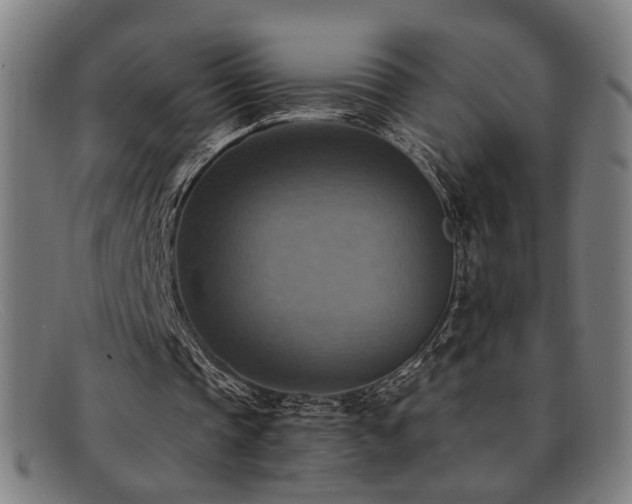 X0000092110337200709121622