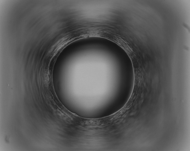 X0000092110338200709121622