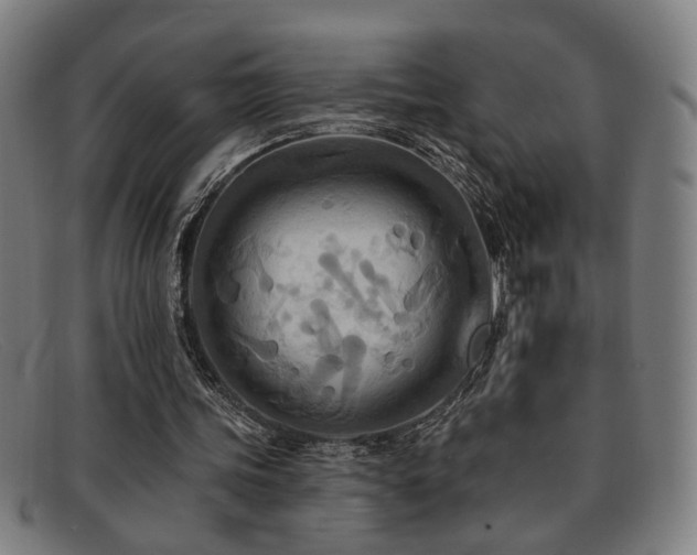 X0000092110339200709121622