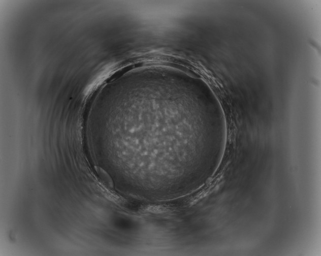 X0000092110341200709121622