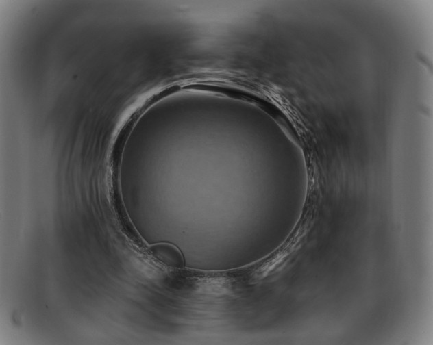 X0000092110342200709121622