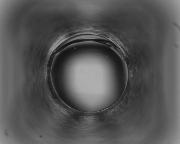 X0000092110344200709121622