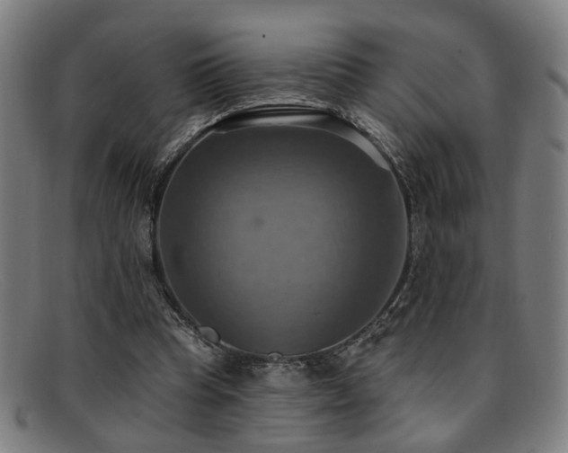 X0000092110345200709121622