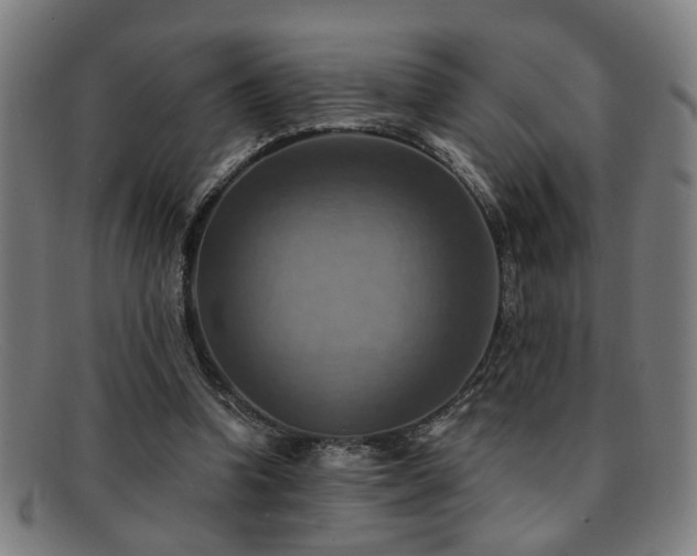 X0000092110346200709121622