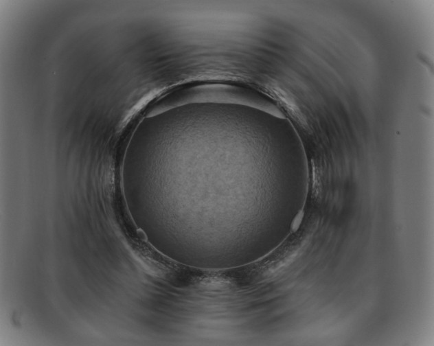 X0000092110348200709121622