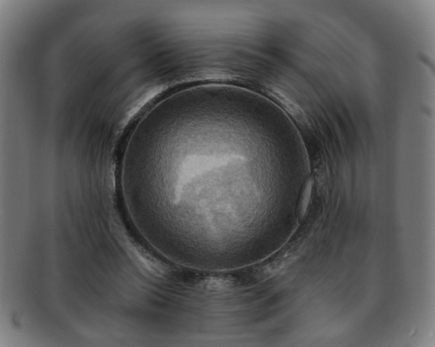 X0000092110350200709121622