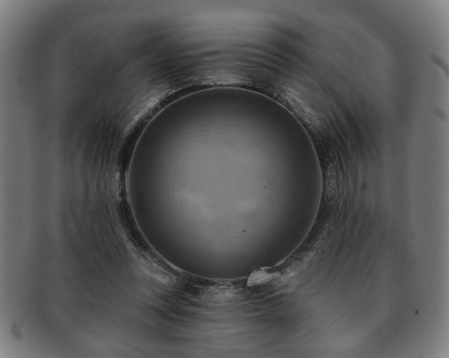 X0000092110351200709121622