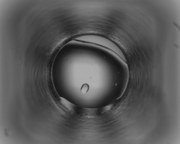 X0000092110352200709121622