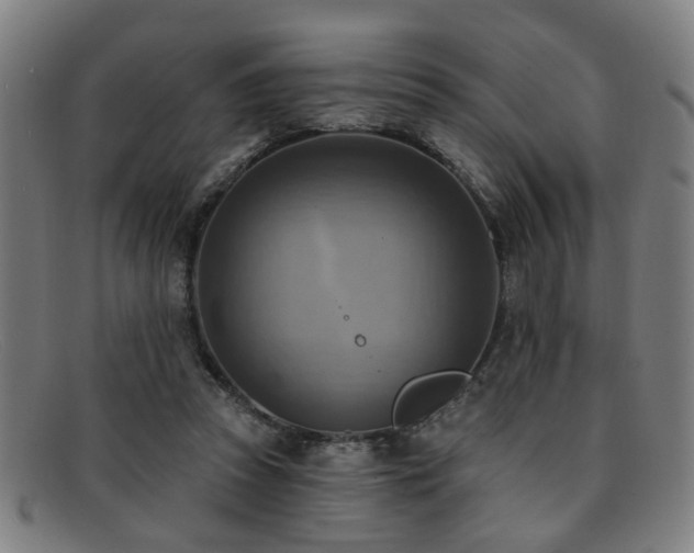 X0000092110353200709121622