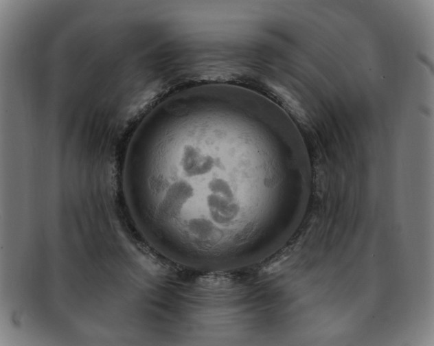 X0000092110354200709121622