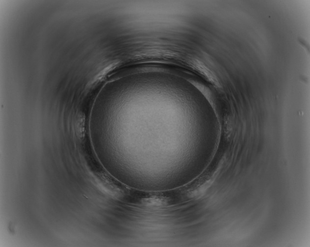 X0000092110356200709121622