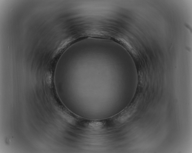 X0000092110357200709121622