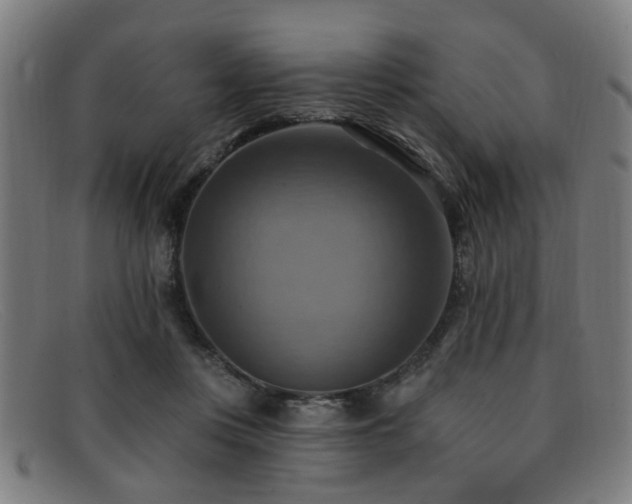 X0000092110359200709121622