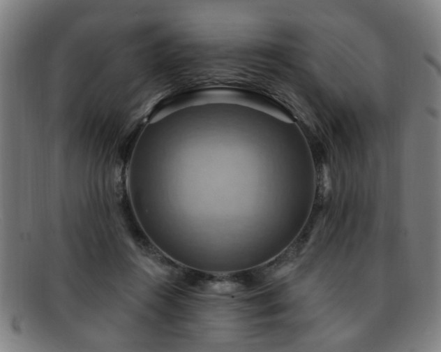 X0000092110360200709121622