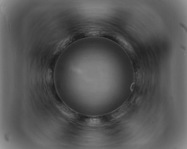 X0000092110361200709121622