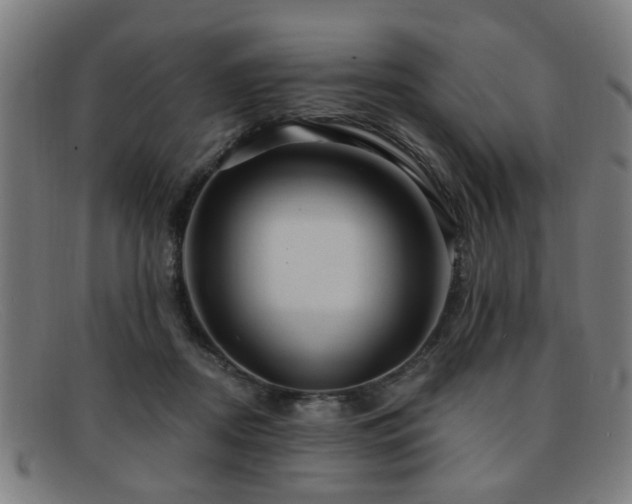 X0000092110362200709121622