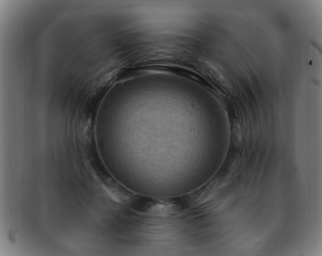 X0000092110364200709121622