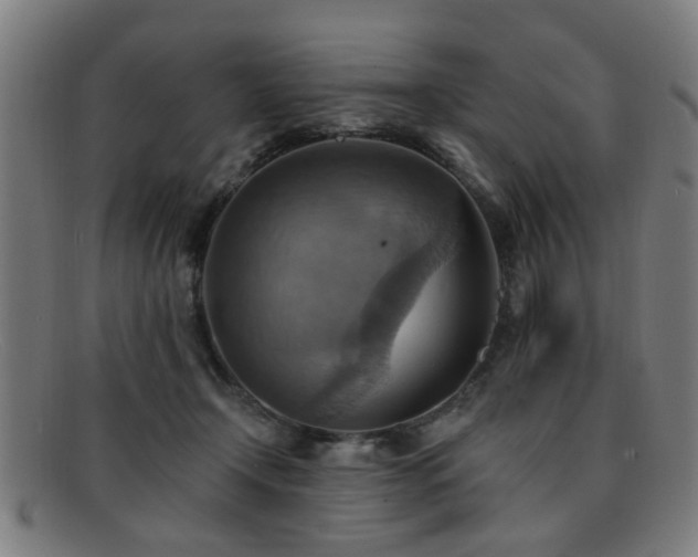 X0000092110366200709121622